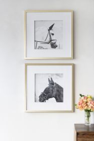 Set of 2 Wall Art Horse Animal Printing, Wall Decor Accent, 22" x 22"